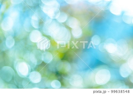 木漏れ日の玉ボケ 99638548