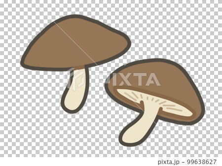 Shiitake mushroom hand drawn illustration 99638627