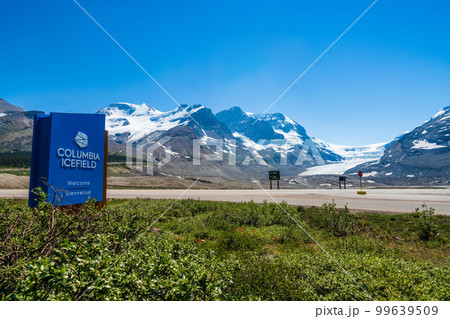 Alberta, Canada - June 28 2021 : Columbia Icefield Glacier in 2021 summer. Jasper National Park. Canadian Rockies. 99639509