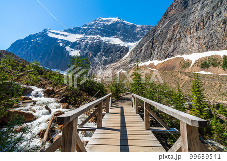 Canadian Rockies nature trails scenery. Jasper National Park beautiful landscape. Alberta, Canada. Forest and Mount Edith Cavell Mountain in the background. Canadian Rockies nature trails scenery. Jasper National Park beautiful landscape. Alberta, Canada. Forest and Mount Edith Cavell Mountain in the background. 99639541