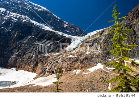 Angel Glacier Mount Edith Cavell in 2021 summer. Jasper National Park beautiful landscape. Alberta, Canada. Canadian Rockies Mountains nature scenery. Angel Glacier Mount Edith Cavell in 2021 summer. Jasper National Park beautiful landscape. Alberta, Canada. Canadian Rockies Mountains nature scenery. 99639544