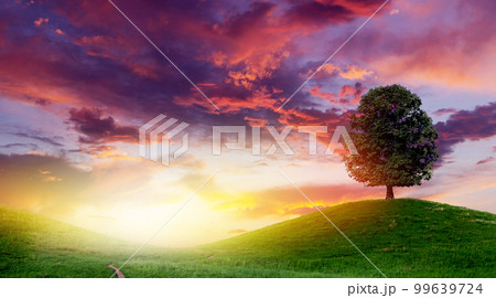 Sunset sky, beautiful hills and lonely tree 99639724