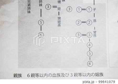 血縁関係の範囲を表す等親図、相続イメージ 99641079