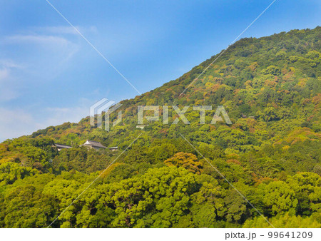 丸亀城近辺の建物 99641209