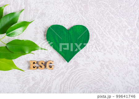 ESG environmental social management policy. Green heart, letters and leaves on a gray background. 99641746