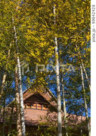 越前竹人形の里 越前竹人形の里 99642428