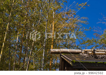 越前竹人形の里 越前竹人形の里 99642502