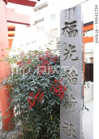 大須商店街 大須観音 愛知県名古屋市 大須商店街 大須観音 愛知県名古屋市 99642794