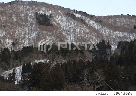 白川郷・五箇山の合掌造り集落 99643636