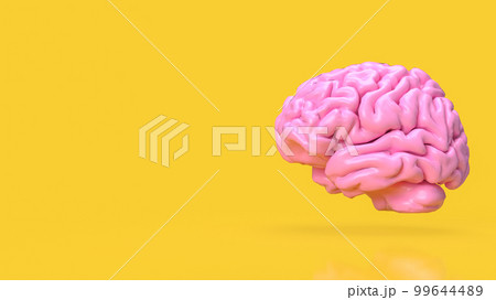 The pink brain on yellow background for creative or idea concept 3d rendering The pink brain on yellow background for creative or idea concept 3d rendering 99644489