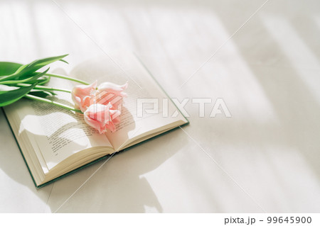 チューリップと洋書 チューリップと洋書 99645900