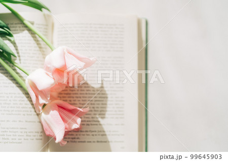 チューリップと洋書　 99645903