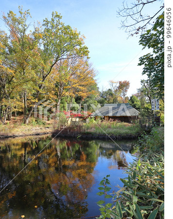 秋のせせらぎ公園 99646056