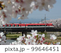 伊勢志摩ライナーと桜 99646451
