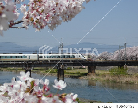 アーバンライナーと桜 アーバンライナーと桜 99646453