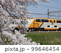 ビスタカーと桜 99646454