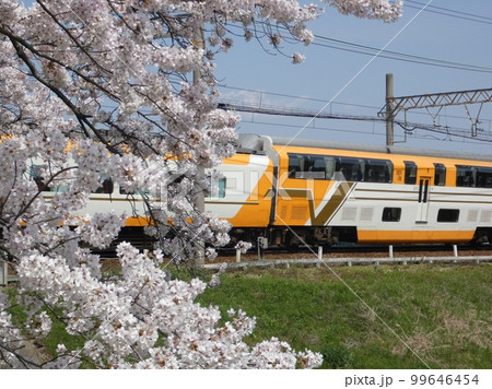 ビスタカーと桜 ビスタカーと桜 99646454