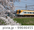 ビスタカーと桜 99646455