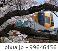 22000系と桜 99646456