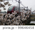 ひのとりと桜 99646458