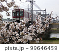 電車と桜 99646459