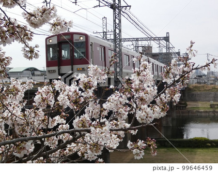 電車と桜 電車と桜 99646459