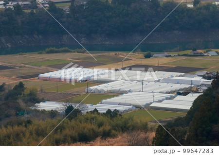 田舎のビニールハウス 田舎のビニールハウス 99647283