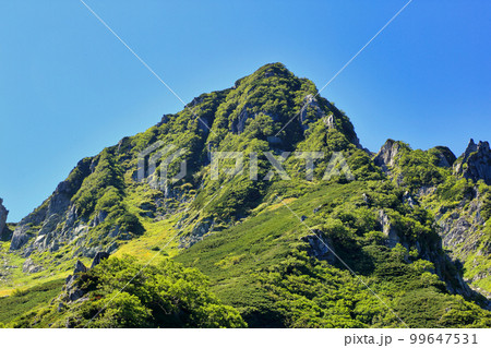 [定額] 木曽駒ヶ岳の登山道から望む夏の千畳敷カール ( 2021年8月 長野県 ) 99647531