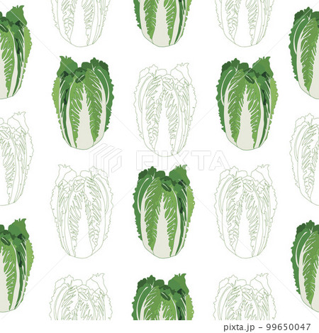 Seamless pattern of fresh Peking cabbage icon. Cabbage for the farmer's market, design of vegetarian salads, organic products. Seamless pattern of fresh Peking cabbage icon. Cabbage for the farmer's market, design of vegetarian salads, organic products. 99650047