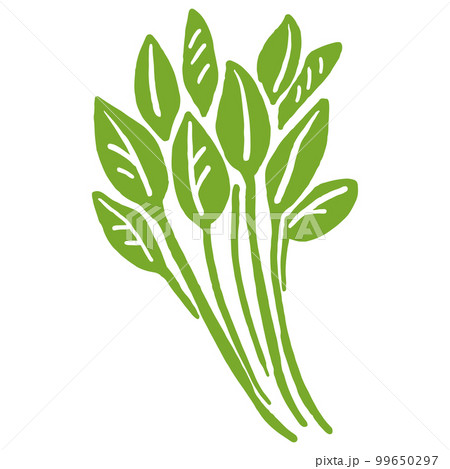 ハーブ　野菜の手書きイラスト 99650297