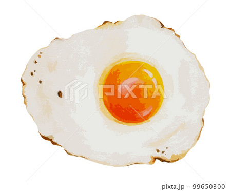 リアルな目玉焼き　水彩風イラスト 99650300