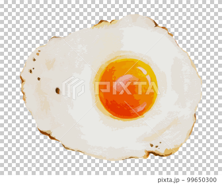リアルな目玉焼き　水彩風イラスト 99650300