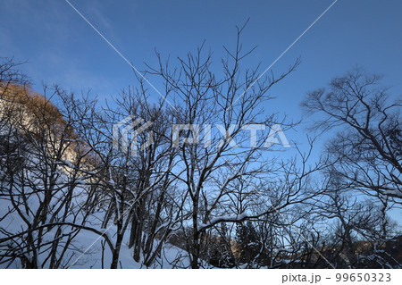 雪・空・星・冬の景色を感じる旅 冬の空はうつろいやすい アメニモマケズ 宮沢賢治 雪・空・星・冬の景色を感じる旅 冬の空はうつろいやすい アメニモマケズ 宮沢賢治 99650323