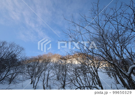 雪・空・星・冬の景色を感じる旅 冬の空はうつろいやすい アメニモマケズ 宮沢賢治 雪・空・星・冬の景色を感じる旅 冬の空はうつろいやすい アメニモマケズ 宮沢賢治 99650329