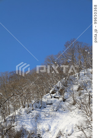 雪・空・星・冬の景色を感じる旅　冬の空はうつろいやすい　アメニモマケズ　宮沢賢治 99650368