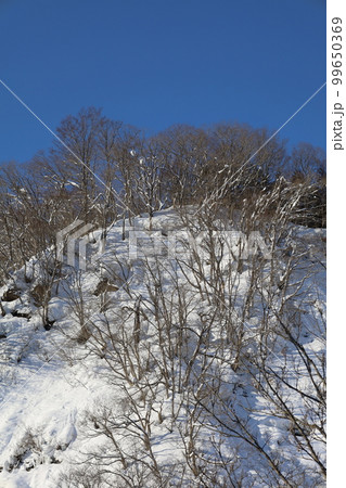 雪・空・星・冬の景色を感じる旅　冬の空はうつろいやすい　アメニモマケズ　宮沢賢治 99650369
