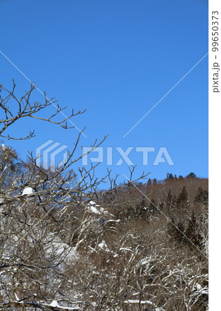 雪・空・星・冬の景色を感じる旅　冬の空はうつろいやすい　アメニモマケズ　宮沢賢治 99650373
