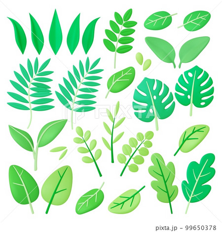 Green 3d foliage, tropical leaves summer spring season. Decorative plants, leaf tree and branch. Exotic and garden plant. Organic pithy vector graphic clipart Green 3d foliage, tropical leaves summer spring season. Decorative plants, leaf tree and branch. Exotic and garden plant. Organic pithy vector graphic clipart 99650378