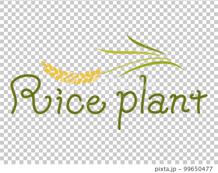 Rice logo Handwritten characters 99650477