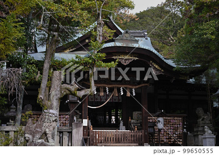 岡崎神社　京都 99650555