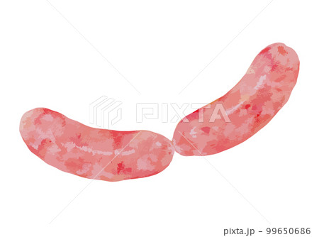 ソーセージ　水彩風イラスト 99650686