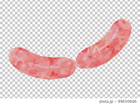 ソーセージ　水彩風イラスト 99650686