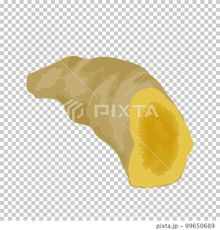 薑黃手繪插圖 99650689