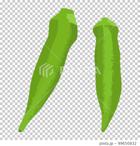 秋葵手繪插圖 秋葵手繪插圖 99650832