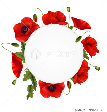 Red Poppies Flowers Realistic Frame Red Poppies Flowers Realistic Frame 99651376