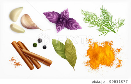 Spices And Herbs Realistic Set 99651377