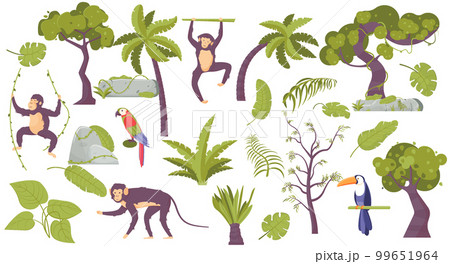 Tropic Landscape Flat Set 99651964