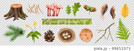 Botanical Icons Transparent Set Botanical Icons Transparent Set 99652073