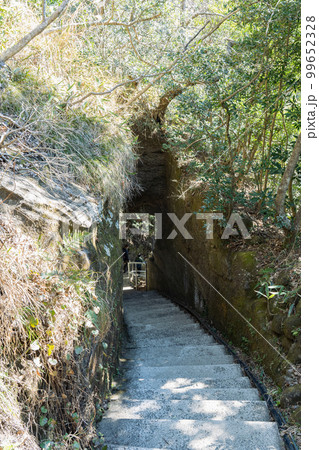 千葉県 鋸山 登山 99652328