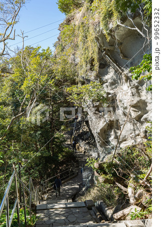 千葉県鋸山の岩壁と登山道(房州石) 千葉県鋸山の岩壁と登山道(房州石) 99652332